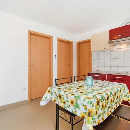 Apartman Viii *